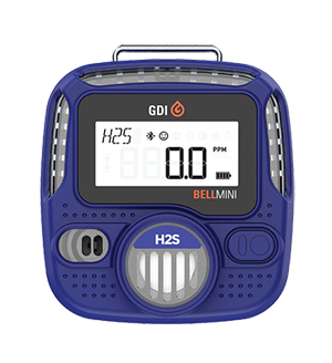 Portable gas detector